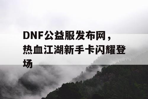 DNF公益服发布网，热血江湖新手卡闪耀登场