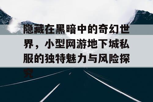 隐藏在黑暗中的奇幻世界，小型网游地下城私服的独特魅力与风险探究