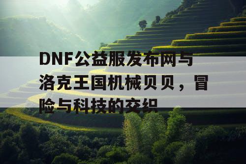 DNF公益服发布网与洛克王国机械贝贝，冒险与科技的交织