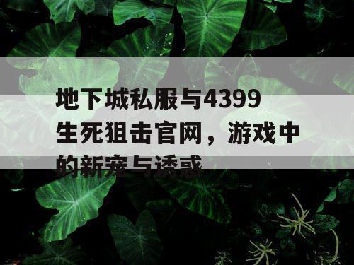 地下城私服与4399生死狙击官网，游戏中的新宠与诱惑