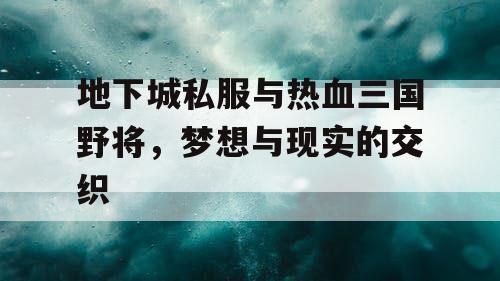 地下城私服与热血三国野将，梦想与现实的交织