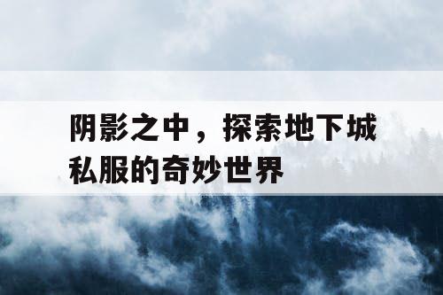 阴影之中，探索地下城私服的奇妙世界