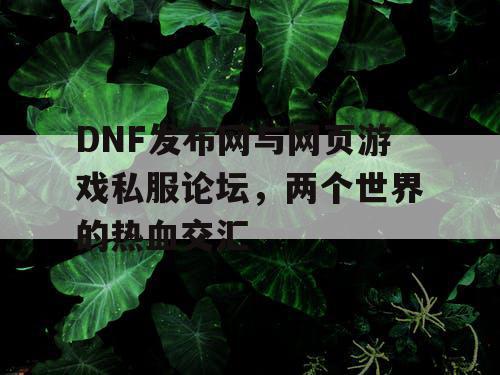 DNF发布网与网页游戏私服论坛，两个世界的热血交汇