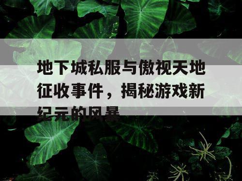 地下城私服与傲视天地征收事件，揭秘游戏新纪元的风暴