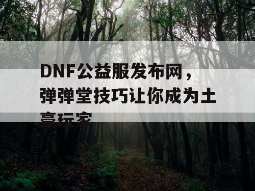 DNF公益服发布网，弹弹堂技巧让你成为土豪玩家