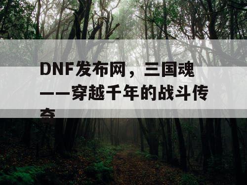 DNF发布网，三国魂——穿越千年的战斗传奇