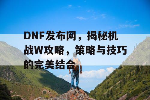 DNF发布网，揭秘机战W攻略，策略与技巧的完美结合