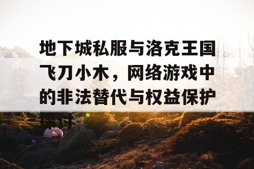 地下城私服与洛克王国飞刀小木，网络游戏中的非法替代与权益保护探讨